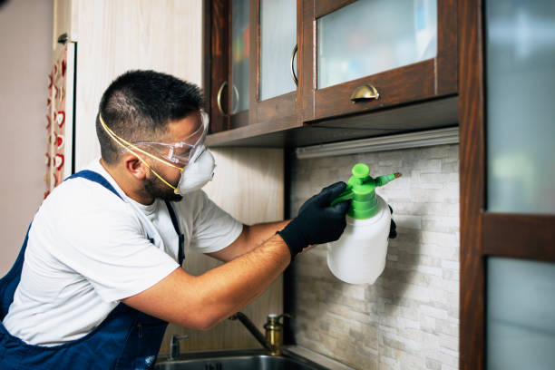Best Pest Control Treatment  in Church Hill, MD