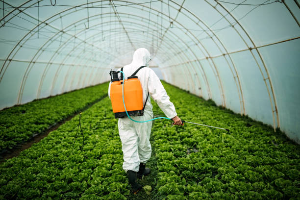 Best Affordable Pest Control Services  in Church Hill, MD