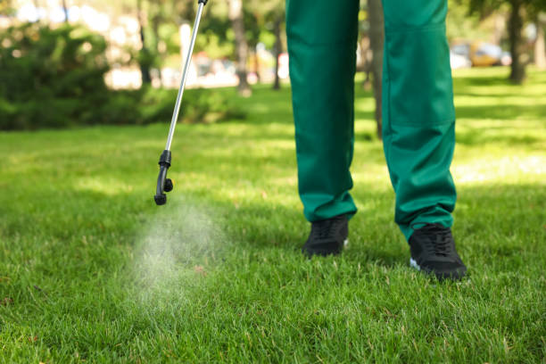 Best Pest Control for Restaurants  in Church Hill, MD