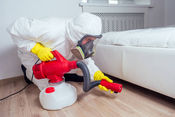 Best Pest Control for Homes  in Church Hill, MD
