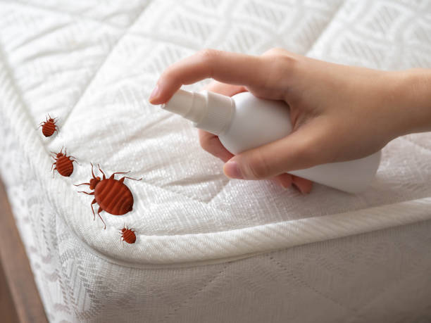 Trusted Church Hill, MD Pest Control Experts