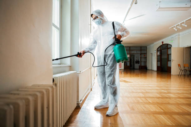 Best Termite Control Services  in Church Hill, MD
